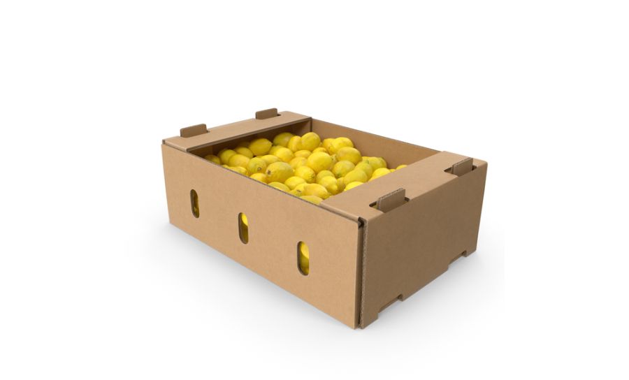 Lemon Box - 100 - 113 Per Box