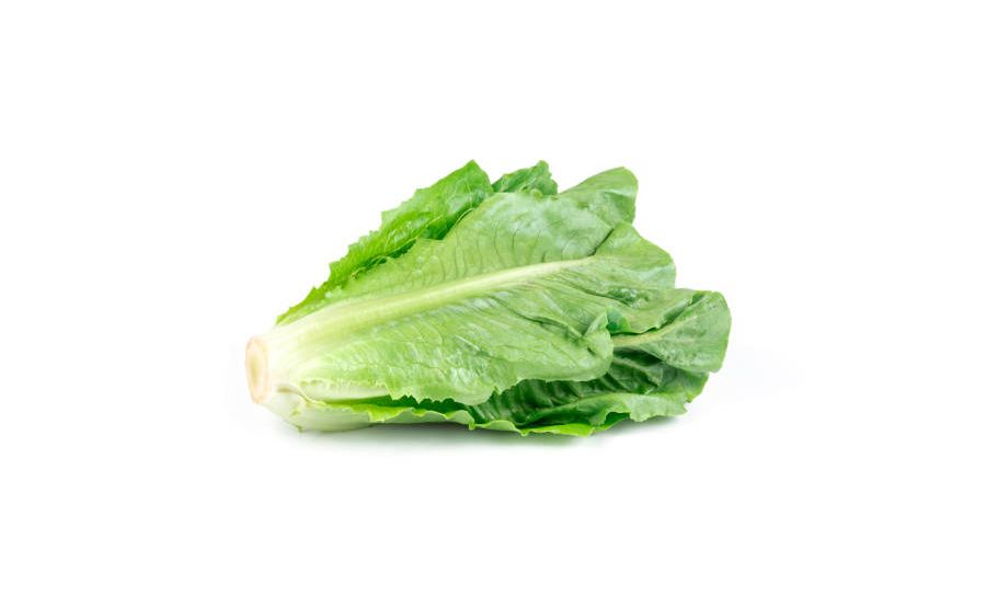 Cos lettuce - Each