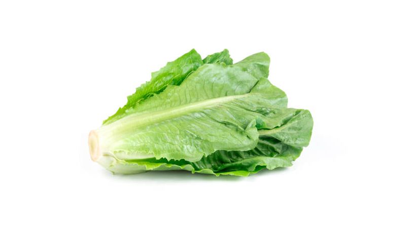 Cos lettuce - Each